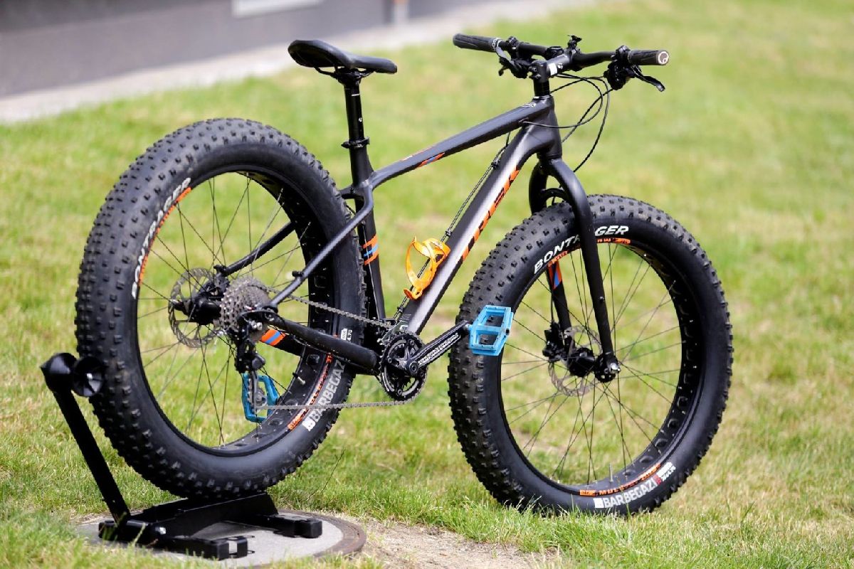 trek kids fat bike