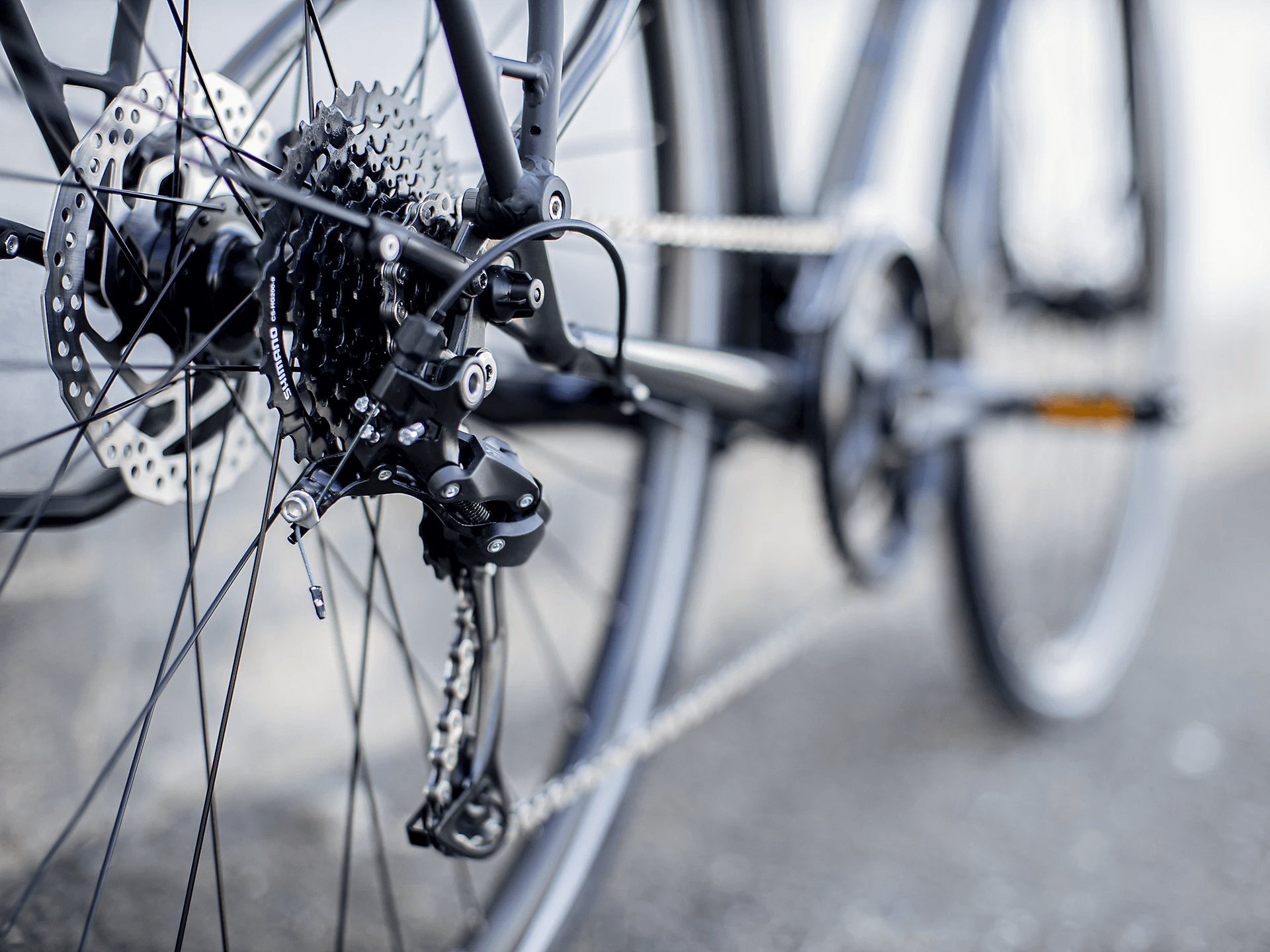 dual sport 3 women's