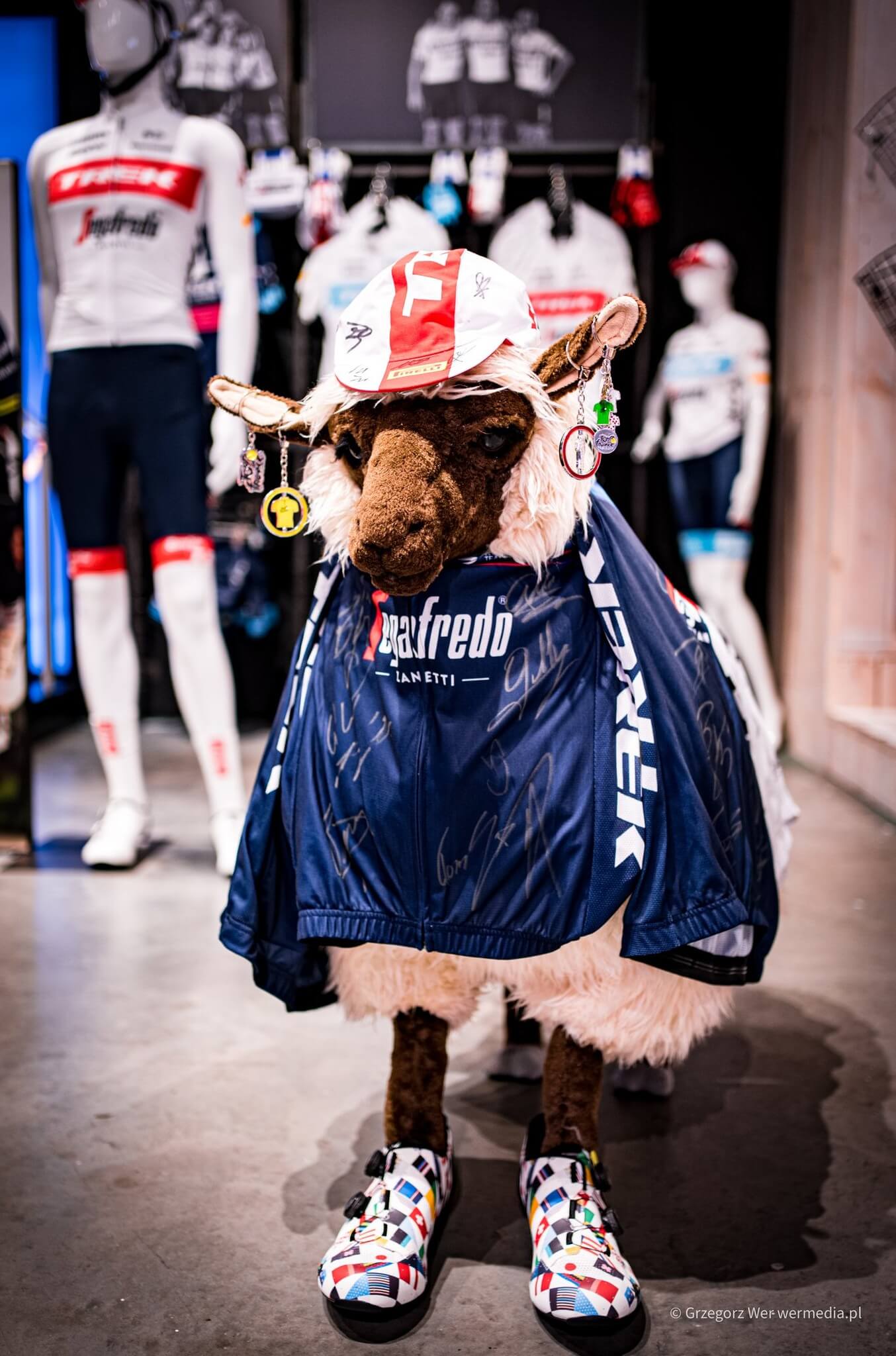 Herman, czyli oficjalna owca Teamu Trek-Segafredo już w edycji Tour De France 😎🔥