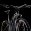 Trek Powerfly+ 4 Gen 5 Gloss Dark Star Matte Dark Web (3)