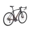 Trek Domane SL 5 Gen 4 - Dark Star to Bronze Age Fade